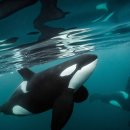 EFC PC ZONE 이미지