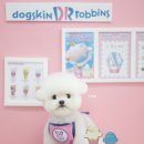 퍼피포유 이미지