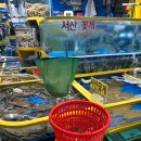 웅이네 | 내돈내산 가락시장 새우구이 생새우회 거북수산 &amp; 웅이네양념집 식당 후기
