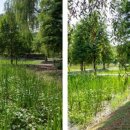 우포늪 생태체험장 화장실 이미지