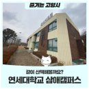 연세대학교삼애캠퍼스연세대야구장 네이버블로그