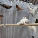 새안농장 이미지