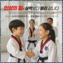 백산 태권도 | 새솔초태권도 아이와 함께 성장하는 특별한 공간, 태권마루