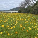 다시면행정복지센터 이미지