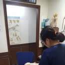 평화동물병원 이미지