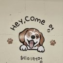 헤이커멍 네이버블로그