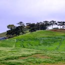 근흥목장 이미지