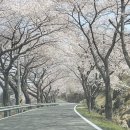 스위티모텔 이미지