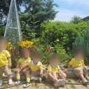 신나는어린이집 이미지