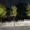 쭈노치킨 | 11월의 신나는 일상블로그 사진일기 (1)