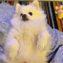 로고스 동물병원 이미지