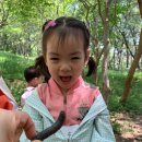 너울숲공원 이미지