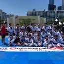 금오태권도 이미지