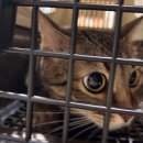 봄날동물의료센터 이미지