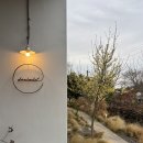 드렌도트 | 제주 애월 감성숙소 드렌도트 독채 2박 후기