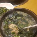도원탕 | 허름하지만 깨끗하고 의외로 물좋은 #해운 온천탕#