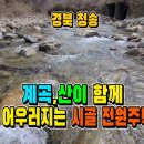 무계리도로변 이미지