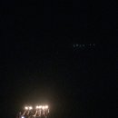로디너스