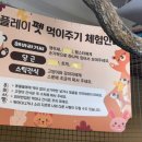 플레이펫