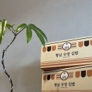 황남우엉김밥