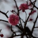 아산아구찜 이미지