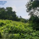 정촌면-8 이미지