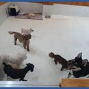 바우밸리 이미지