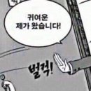 크로스핏 리까 이미지