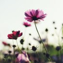 한국타이어강북점 이미지