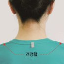 한의사들이 퇴근 후 매일 누른다는 어깨 위 '이 혈자리' 정체 이미지