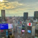 동경포장
