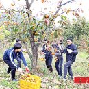 창원경일고등학교 이미지
