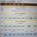 선마을 반려견 힐리펫트래킹 숲테라피 소도구테라피 일정 솔직후기