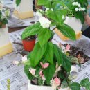 북촌경로당 이미지