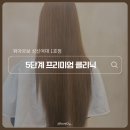 [성신/성북] 위아르보 성신여대 1호점 프리미엄 클리닉 리뷰 (with 진서 디자이너)