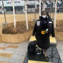 평화세탁 이미지