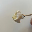 브릭빈커피로스터스 | [아산 카페] 아산 탕정 ‘브릭빈커피로스터스’ 방문후기 ☕️