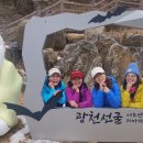 정기목장 이미지