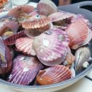 벌교제일수산 이미지