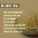 숙취 음식 콩나물 효능 칼로리 이미지