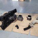 100프로카센타 이미지