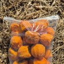 영동농협주유소 이미지