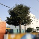 녹색건설(주) 이미지