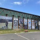 퍼피월드제주 이미지