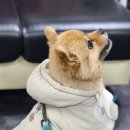 바르미유도체육관