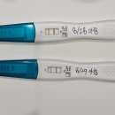 마더스약국 | 임신 5주차 증상 &amp; 체크리스트