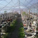 한솔농원 이미지