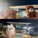 도비는 자유예요 2편