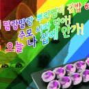 김밥하나 이미지