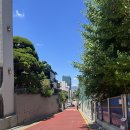 1. [서울 밝은 웨딩홀 투어] (계약X) 25년 상반기 견적 토브헤세드 투어 후기